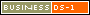 business DS-1